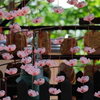 神戸北野