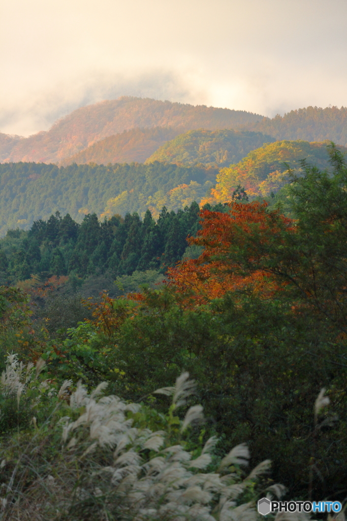 秋の風景