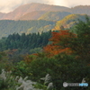 秋の風景