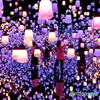 ランプの森 2