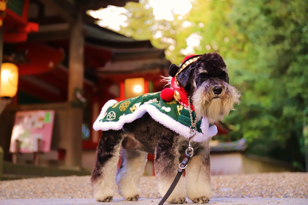 神社