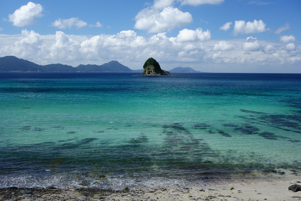 海