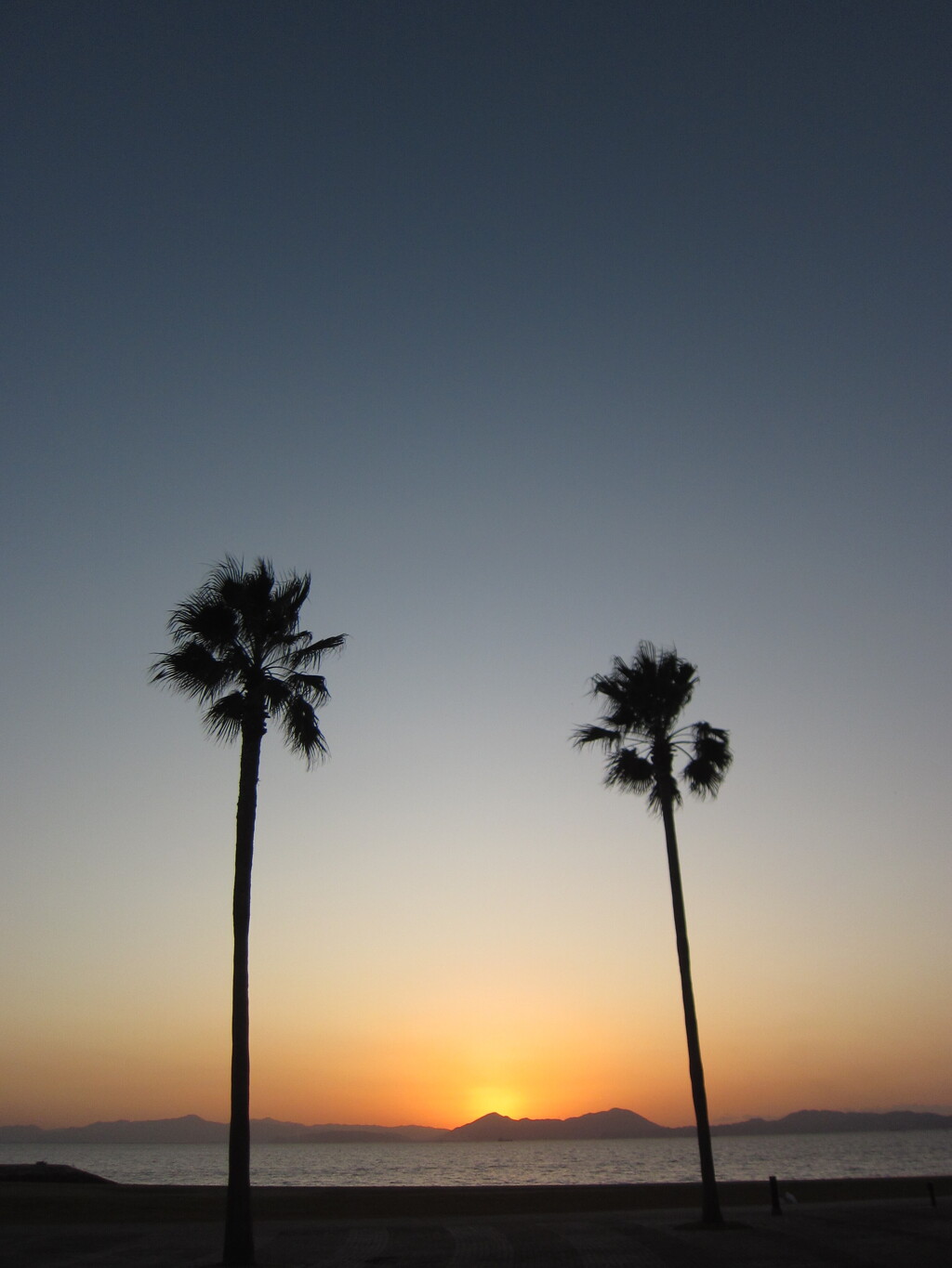 二本の夕刻