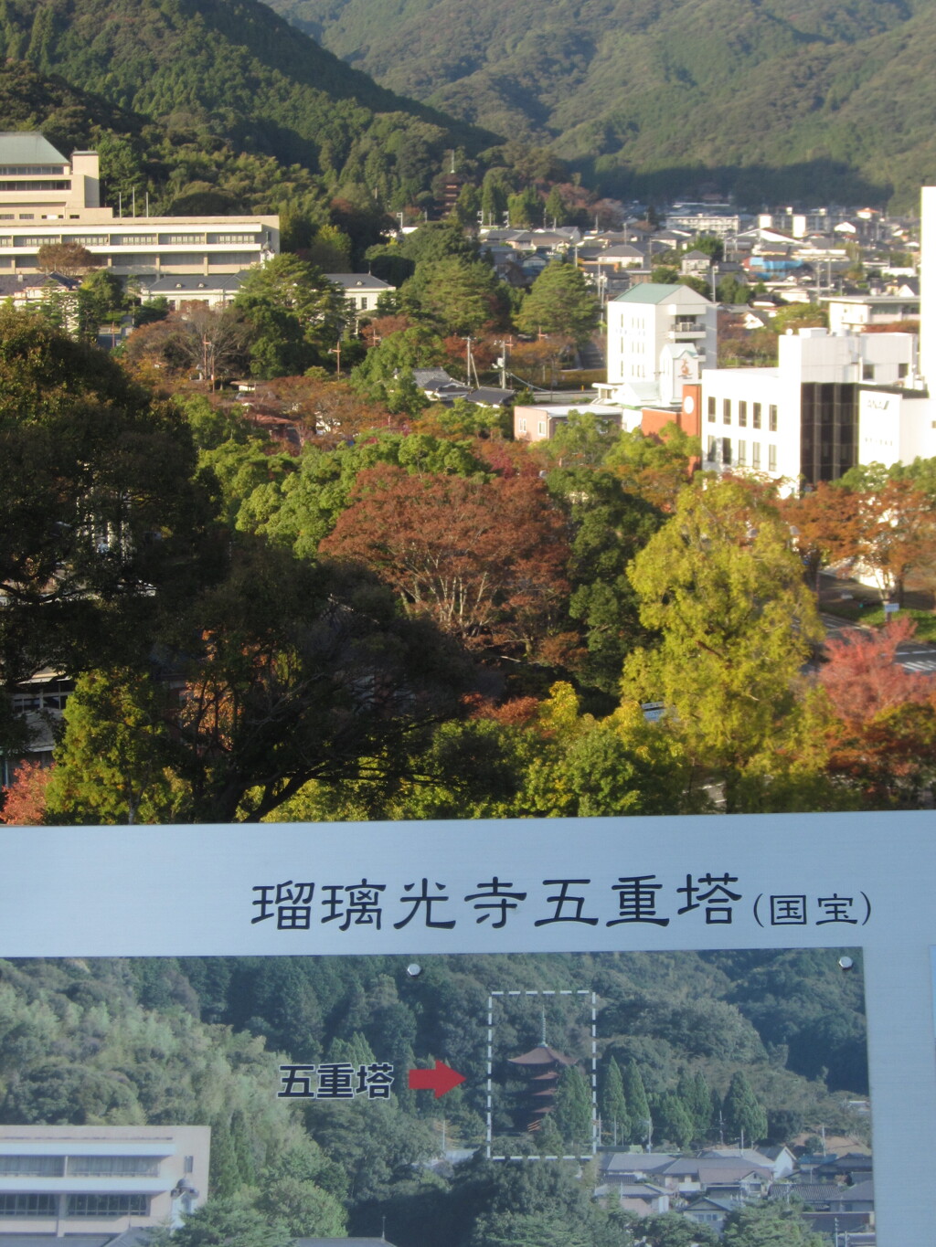 「あれが五重塔です」、全員「どこ!?」