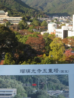 「あれが五重塔です」、全員「どこ!?」