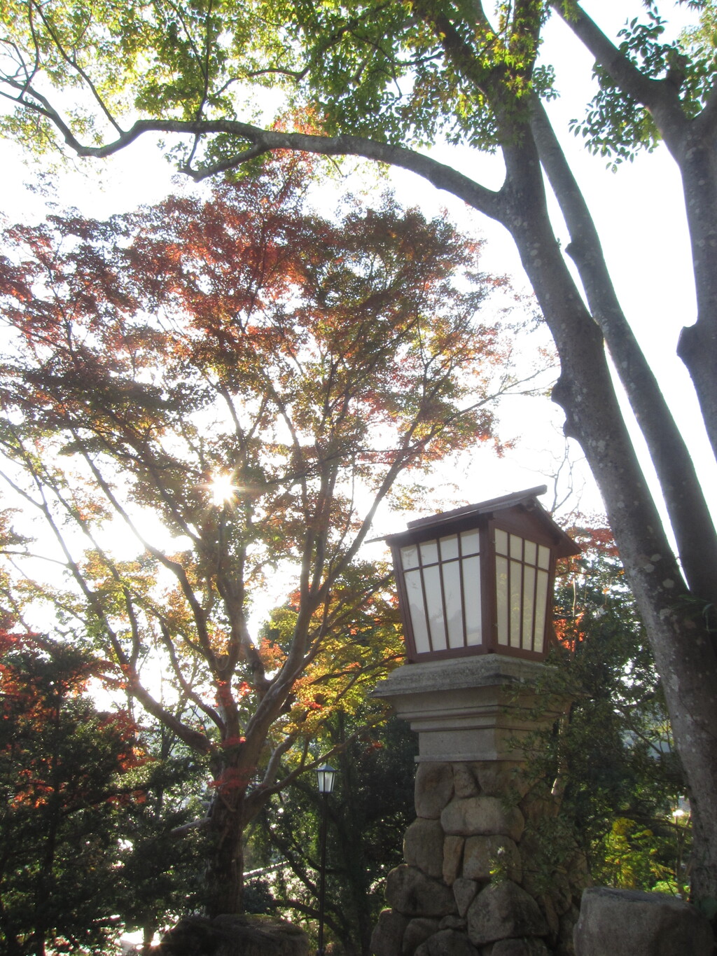 亀山公園