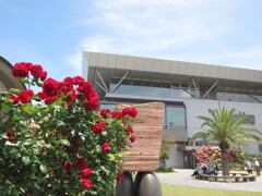 山口宇部空港