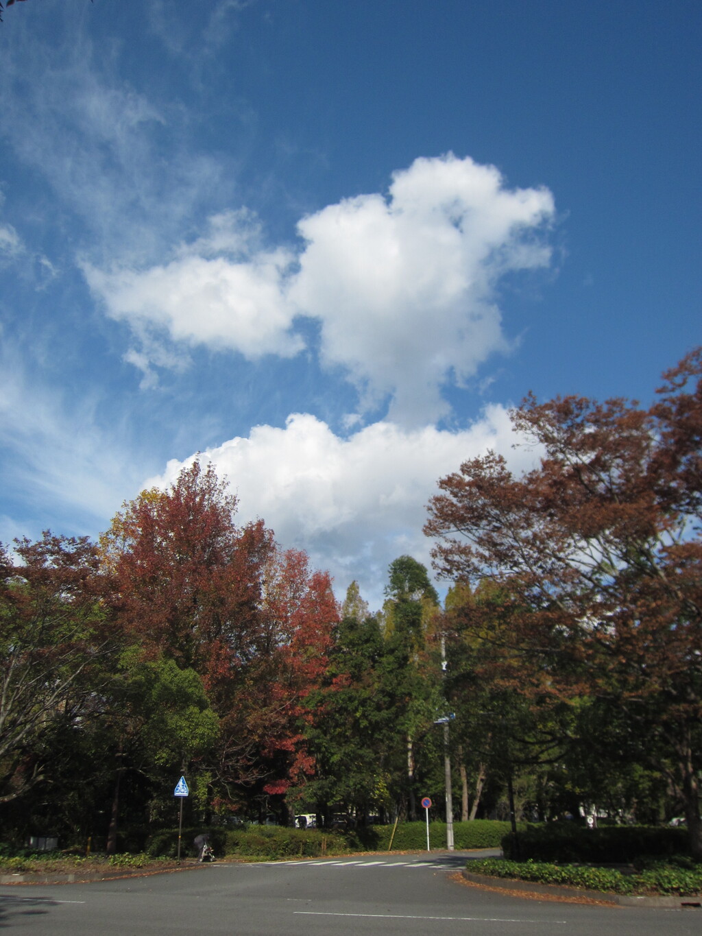 アヒル雲、いやチョコボ雲