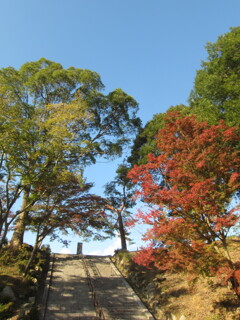空への階段(大袈裟)
