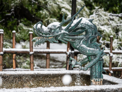 雪竜