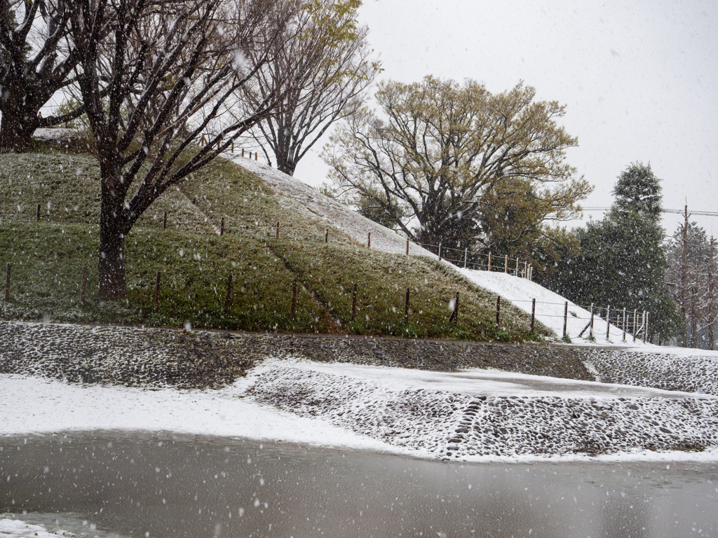 雪と野毛大塚古墳