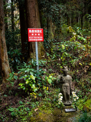 鳥獣保護区