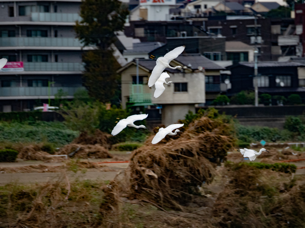 着陸姿勢