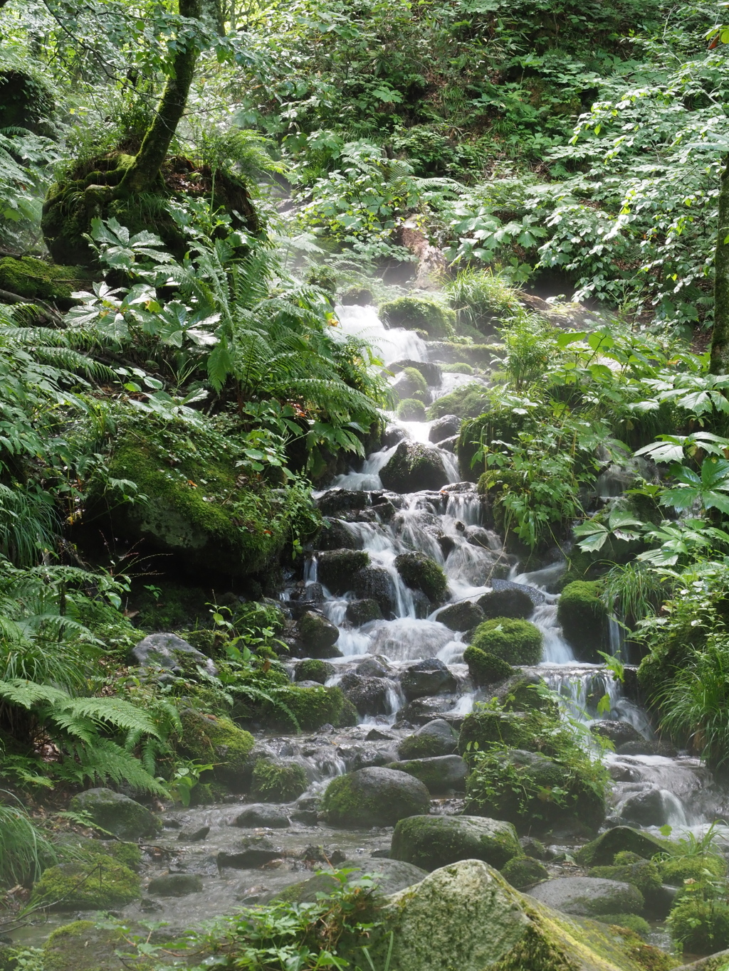 霧の出る滝(奥入瀬渓流)