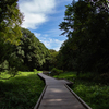 東高根森林公園