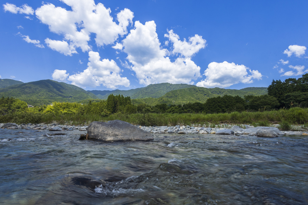 夏 川遊び