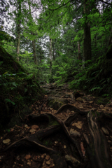 登山