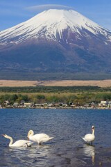 富士山と