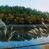 保古の湖