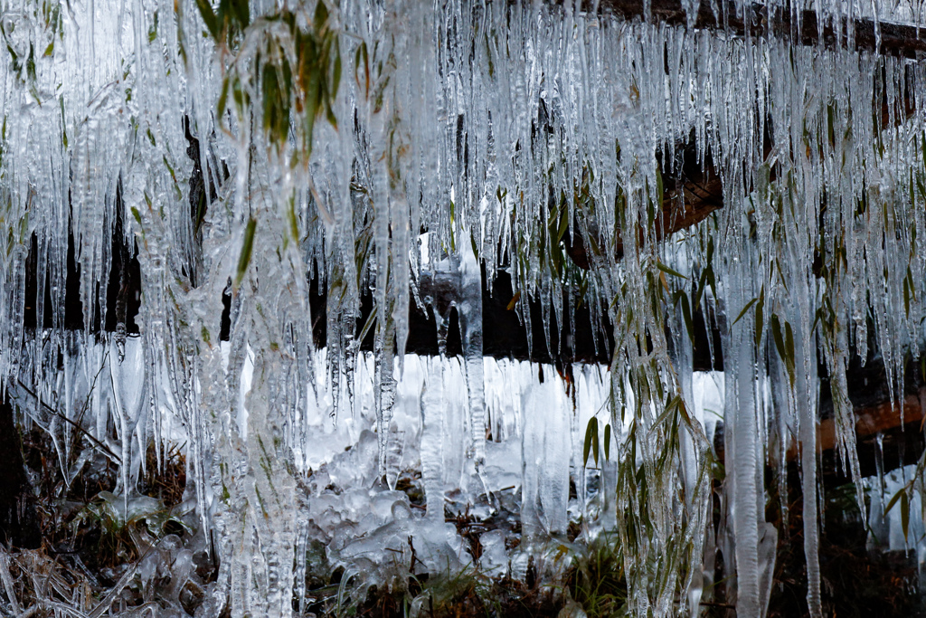 氷柱