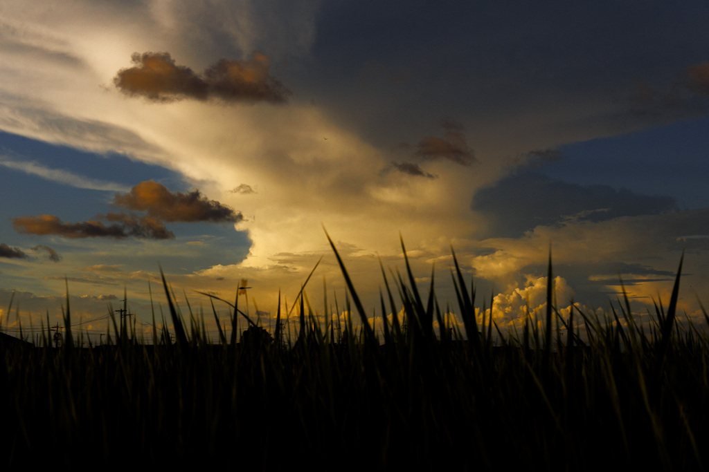 夕焼けの雲