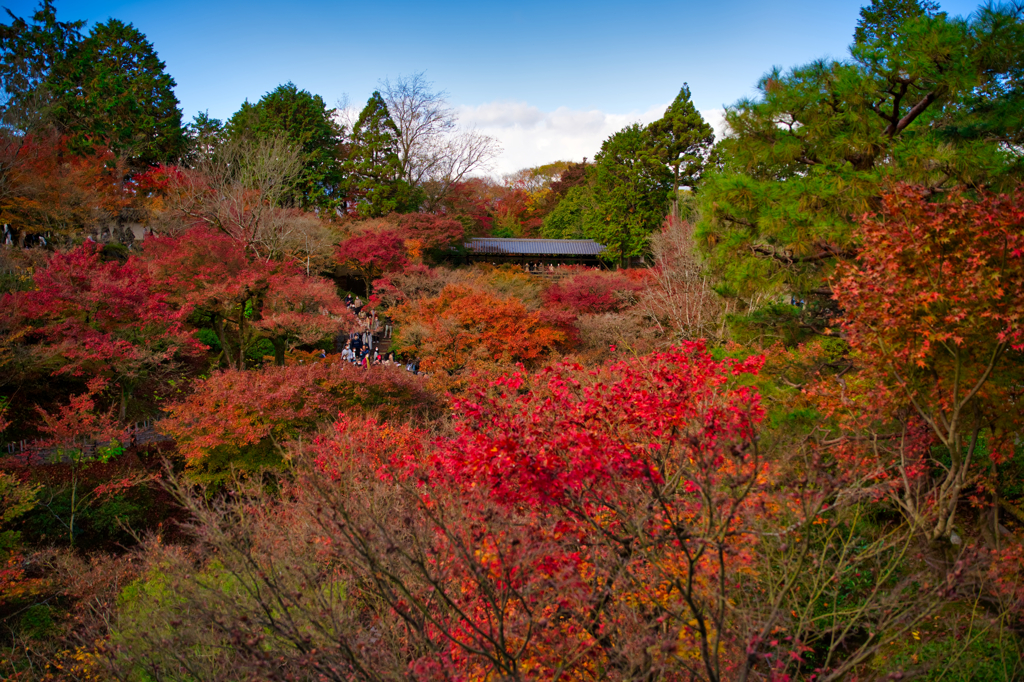 東福寺