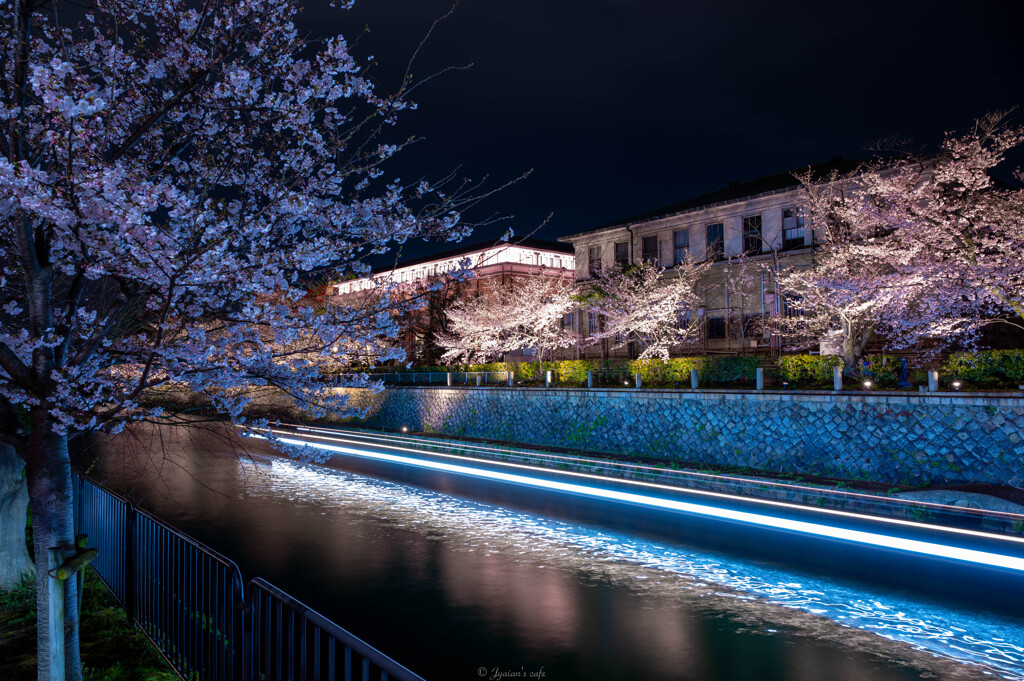 京都京セラ美術館