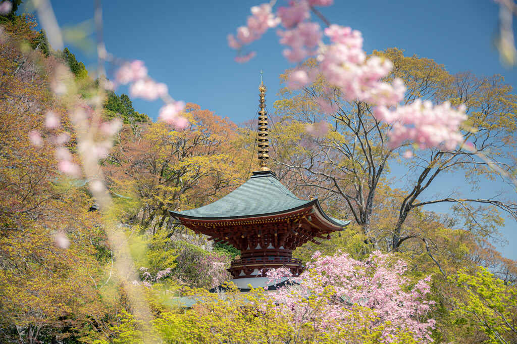 勝尾寺