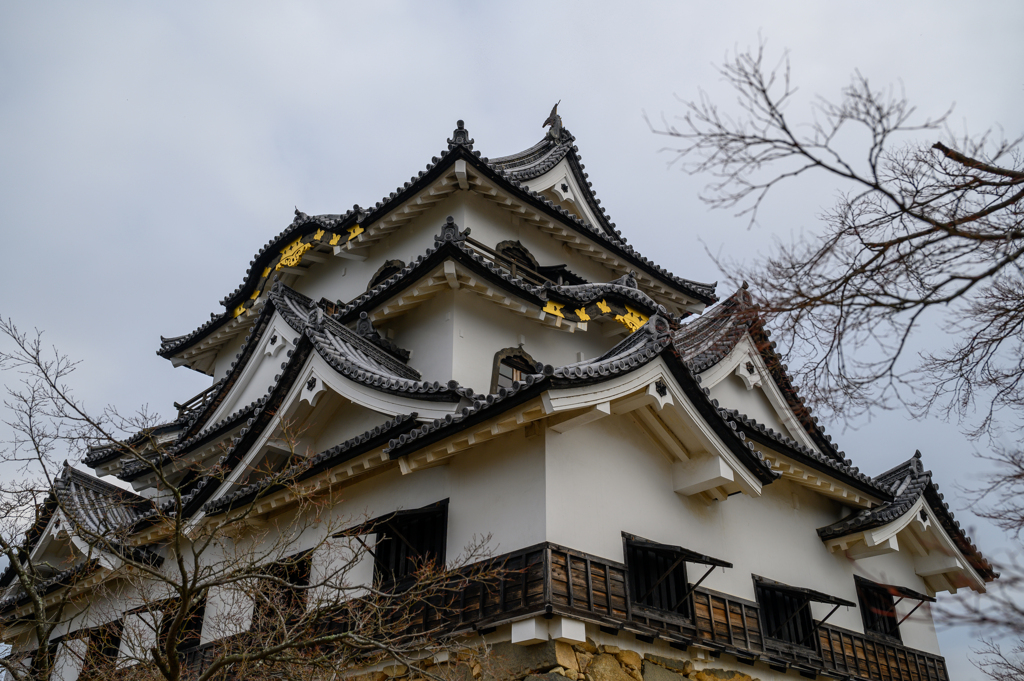 彦根城