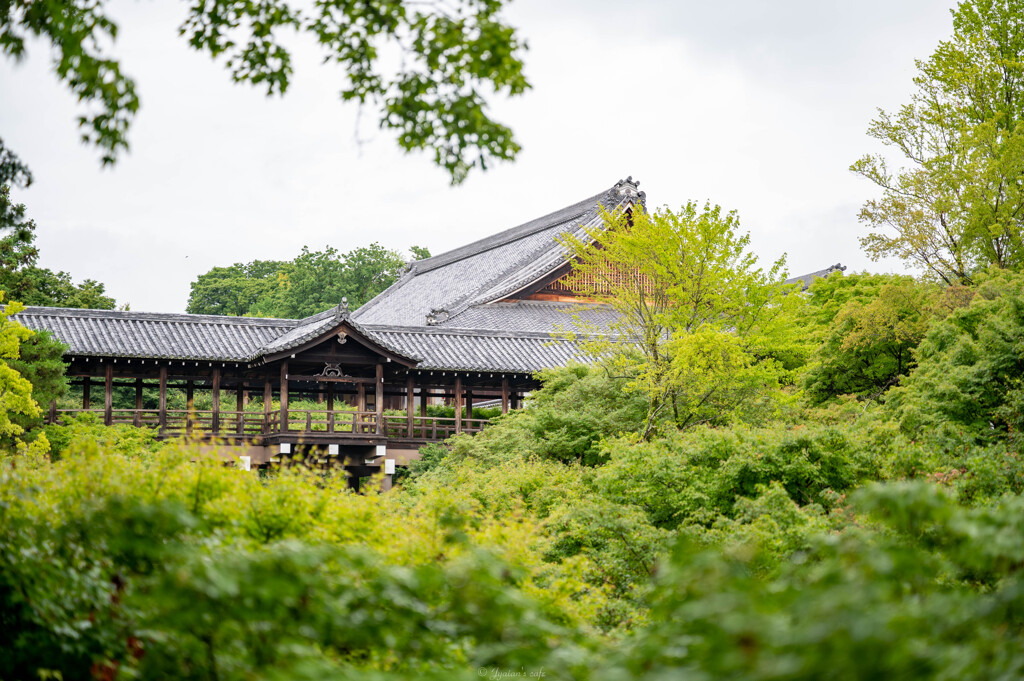 東福寺
