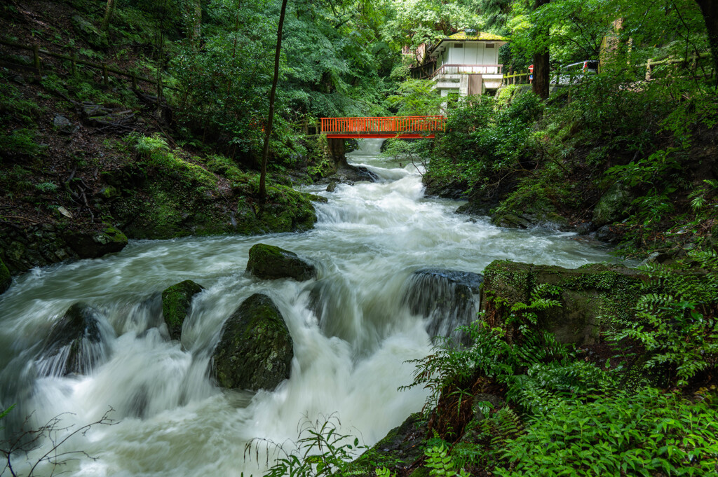 箕面の滝