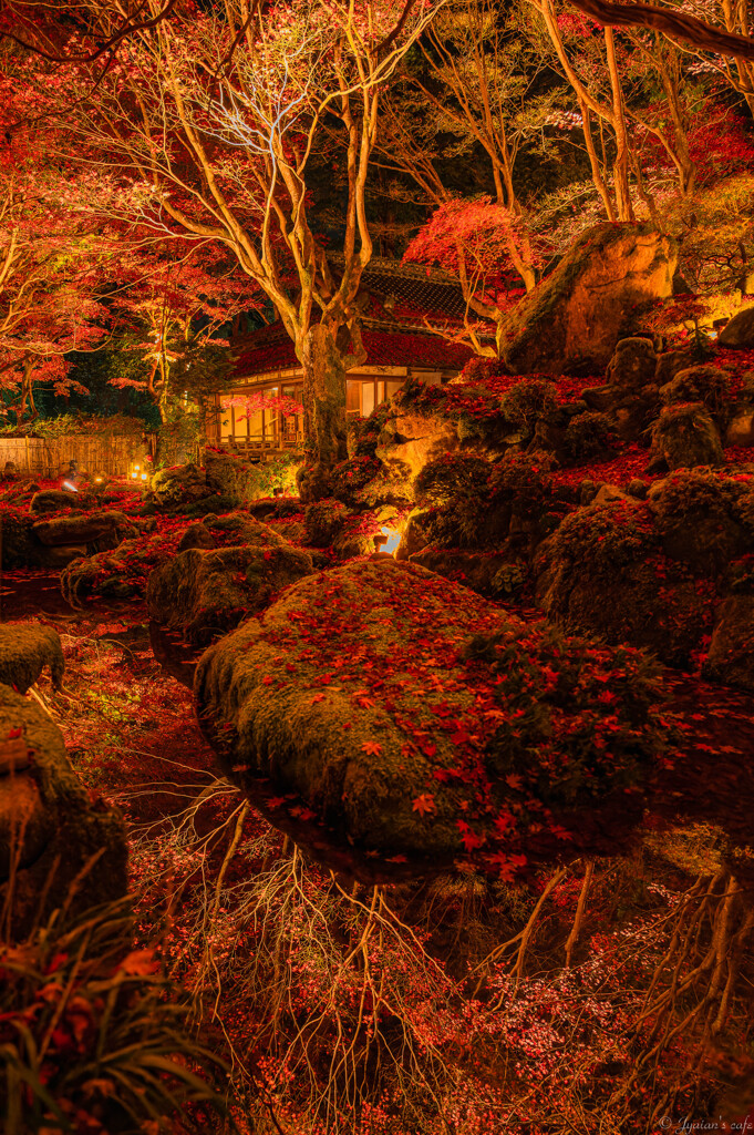 晩秋の水鏡