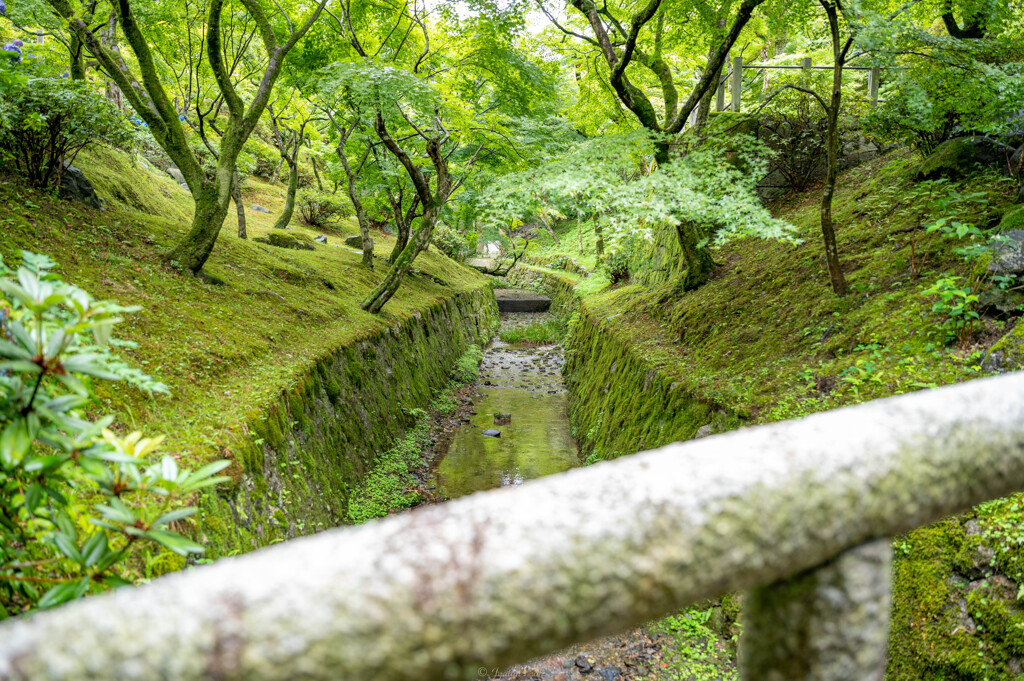 東福寺