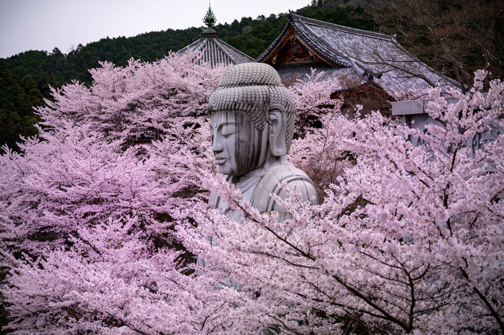 壺阪寺