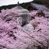 壺阪寺
