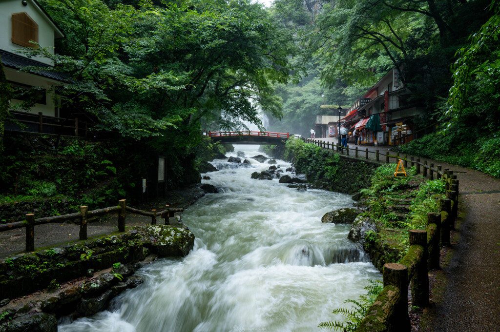 箕面の滝