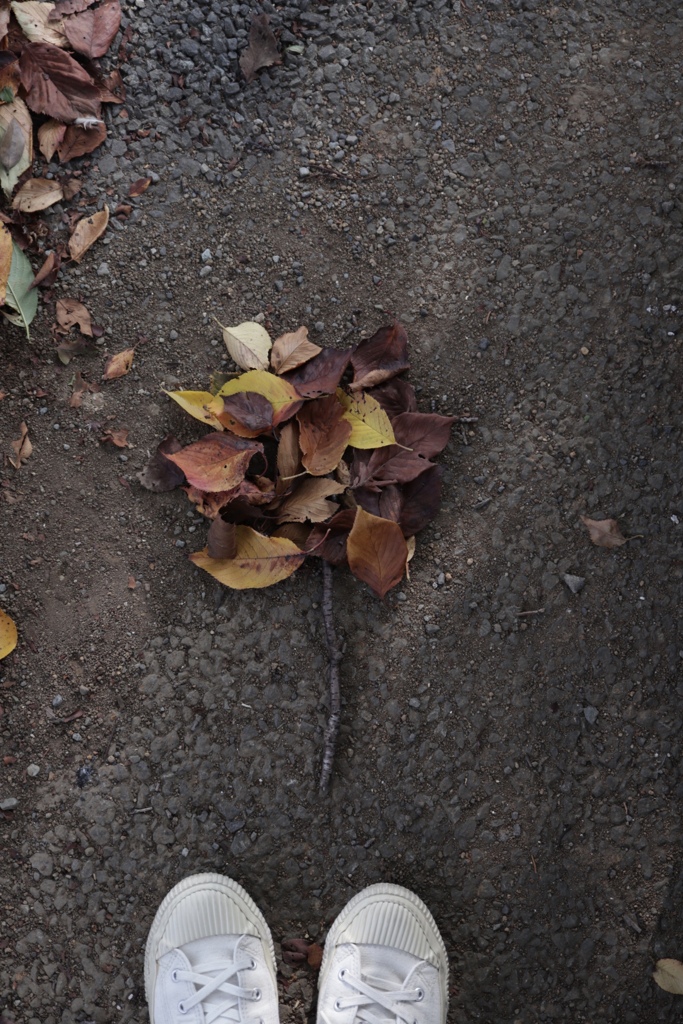 小さい秋を作りました