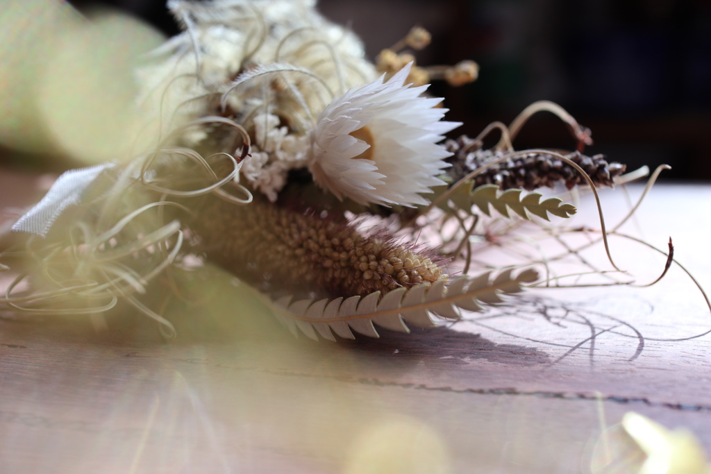 キラキラ！ 前ボケの練習