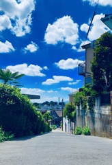 夏めく坂道