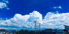 夏