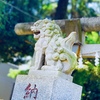視線