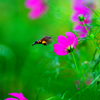 BS6T9515-280mm-F4,0-231010-....SILKYPIX_
