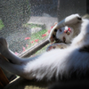 BS6T5474-15mm-F2,8-230916-SILKYPIX_.....
