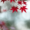 093A8293......SILKYPIX_DS_PRO...000.-2..