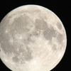 IMG_4750....2