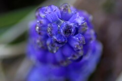 IMG_5459..3.....2.........3