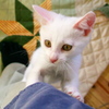 093A0994......SILKYPIX_DS_PRO...7...2111