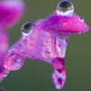 IMG_1149..2..3