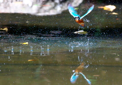 093A2757......SILKYPIX_DS_PRO..13...
