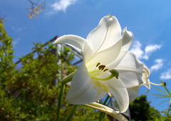 IMG_0416......SILKYPIX_DS_PRO...3..